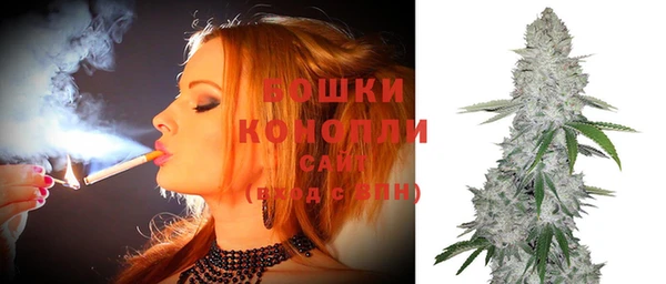 spice Арсеньев