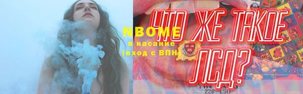 ешки Аркадак