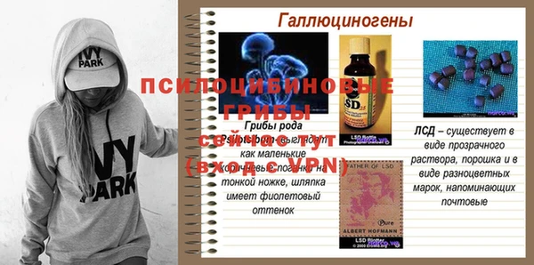 ешки Аркадак
