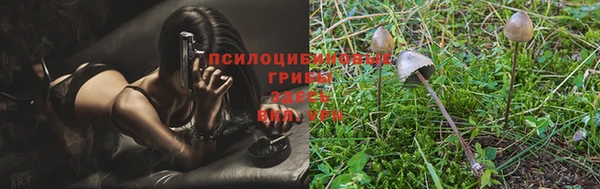 spice Арсеньев