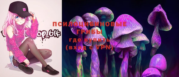 ешки Аркадак