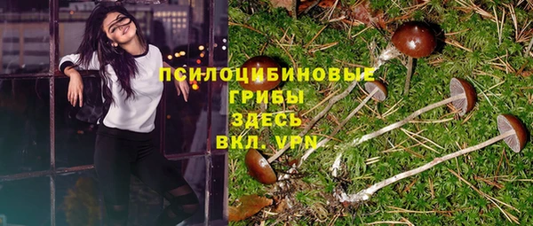 PSILOCYBIN Армянск