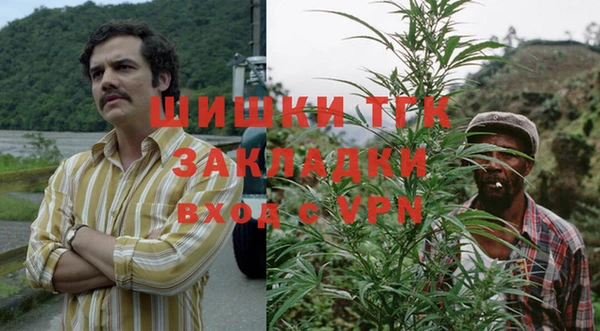 spice Арсеньев