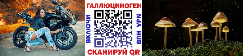 Галлюциногенные грибы Psilocybe  Билибино 